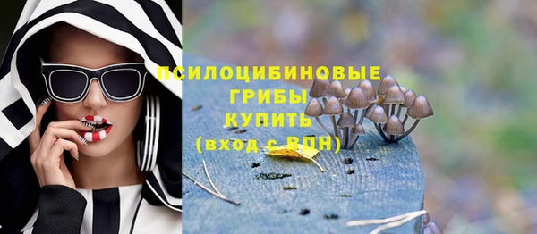 ПСИЛОЦИБИНОВЫЕ ГРИБЫ Абдулино