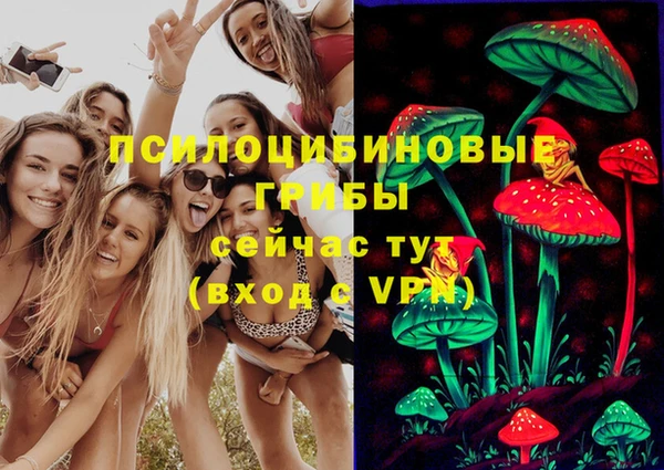 крисы Алзамай